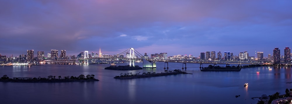 Royal Garden Suite – Non-Smoking – 200sqm – Private Garden – Reinbow bridge and Tokyo Tower View – E photo