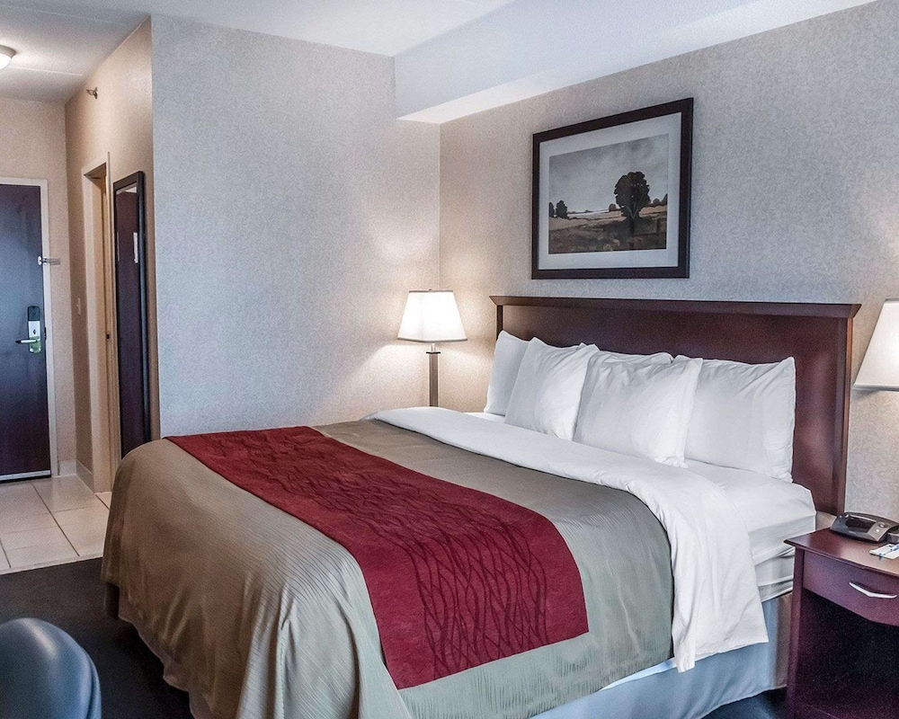 Room, 1 King Bed, Non Smoking - Photo 3