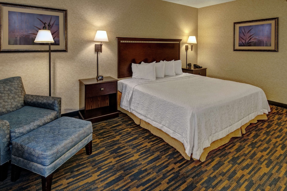 Room, 1 King Bed
