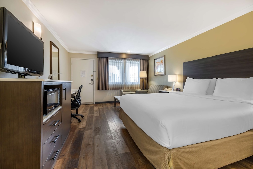 Business Room, 1 King Bed, Non Smoking, Microwave - Photo 4