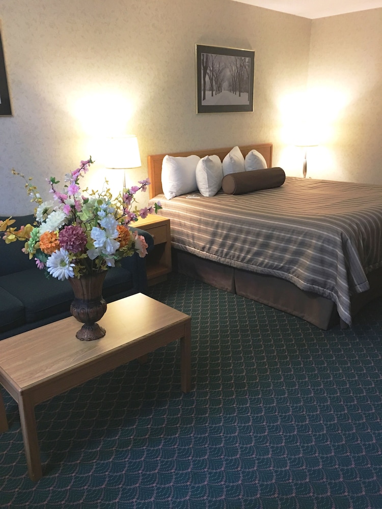 Deluxe Room, 1 Queen Bed, Poolside - Photo 2