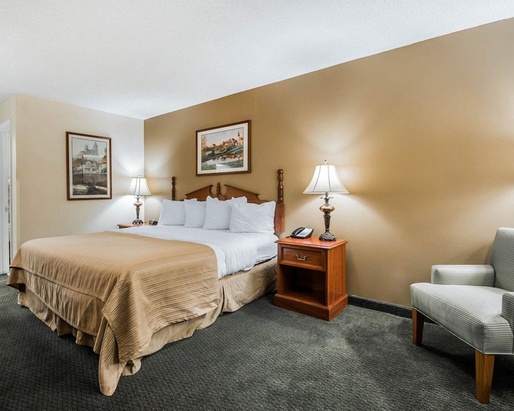 Standard Room, 1 King Bed, Smoking - Photo 1
