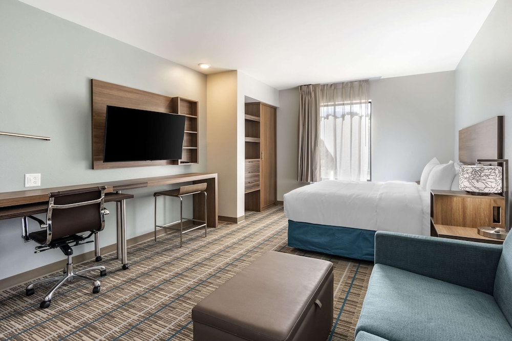 Suite, 1 King Bed with Sofa bed, Non Smoking (Efficiency) - Photo 5