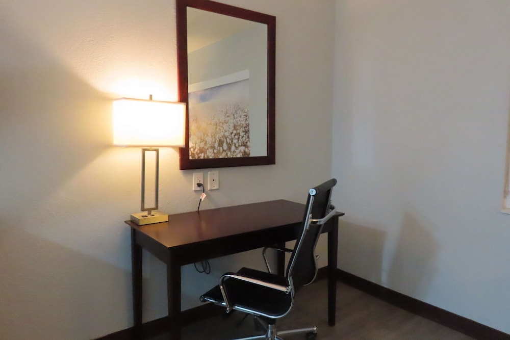 Standard Room, 1 King Bed, Accessible, Refrigerator & Microwave - Photo 3