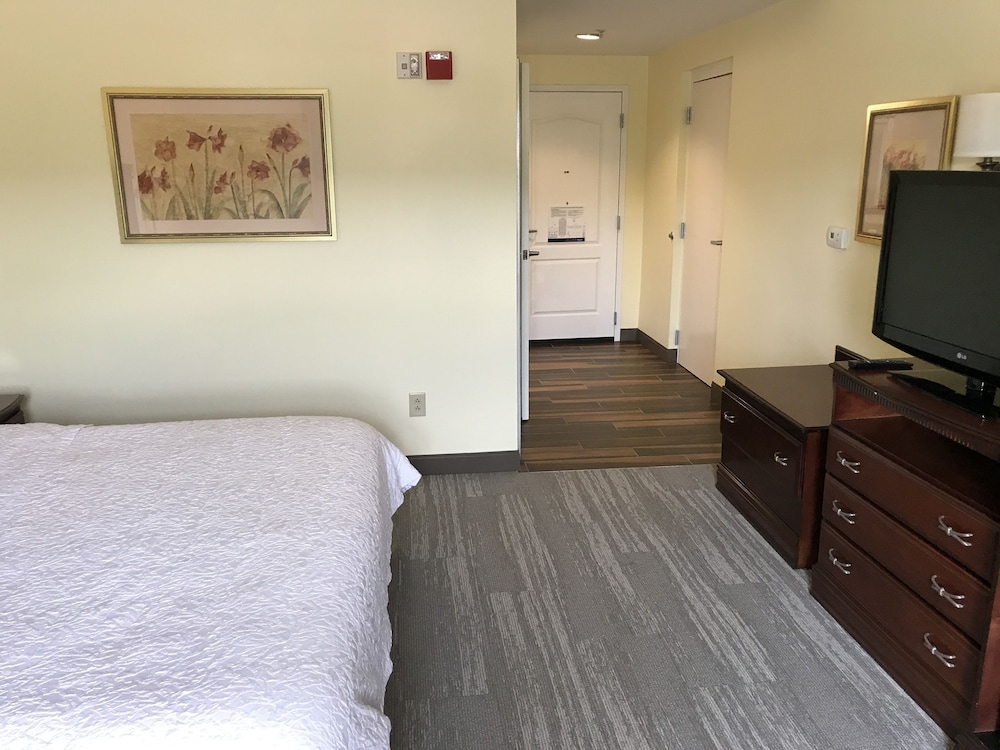 Room, 1 King Bed, Accessible, Non Smoking (Roll-in Shower) - Photo 3
