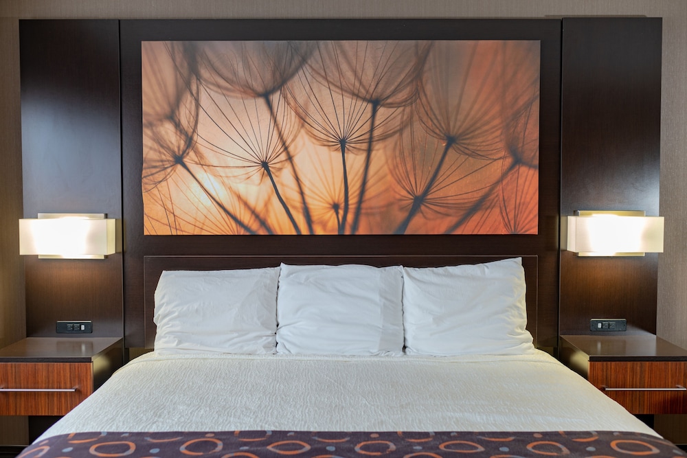 King Suite photo 2