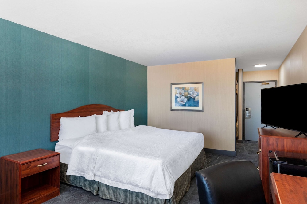 Room, 1 King Bed, Non Smoking - Photo 8