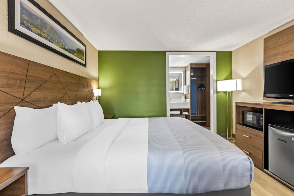 Room, 1 King Bed, Accessible, Non Smoking - Photo 6