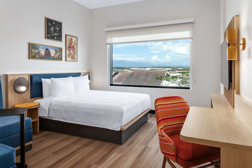 Room, 1 Double Bed, Refrigerator