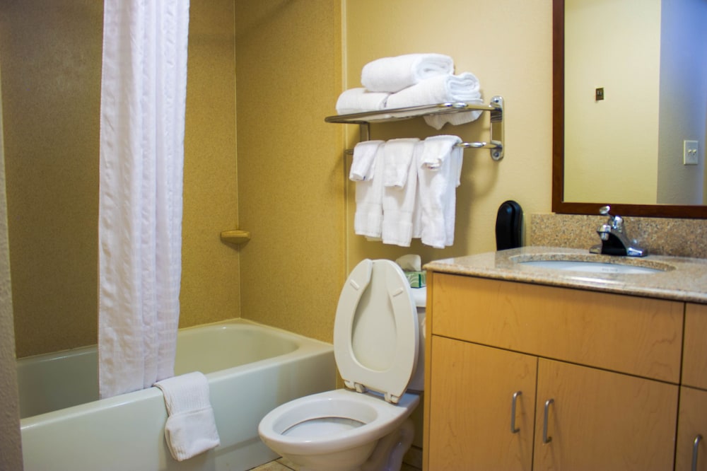 Studio Suite, 2 Double Beds, Kitchen - Photo 6