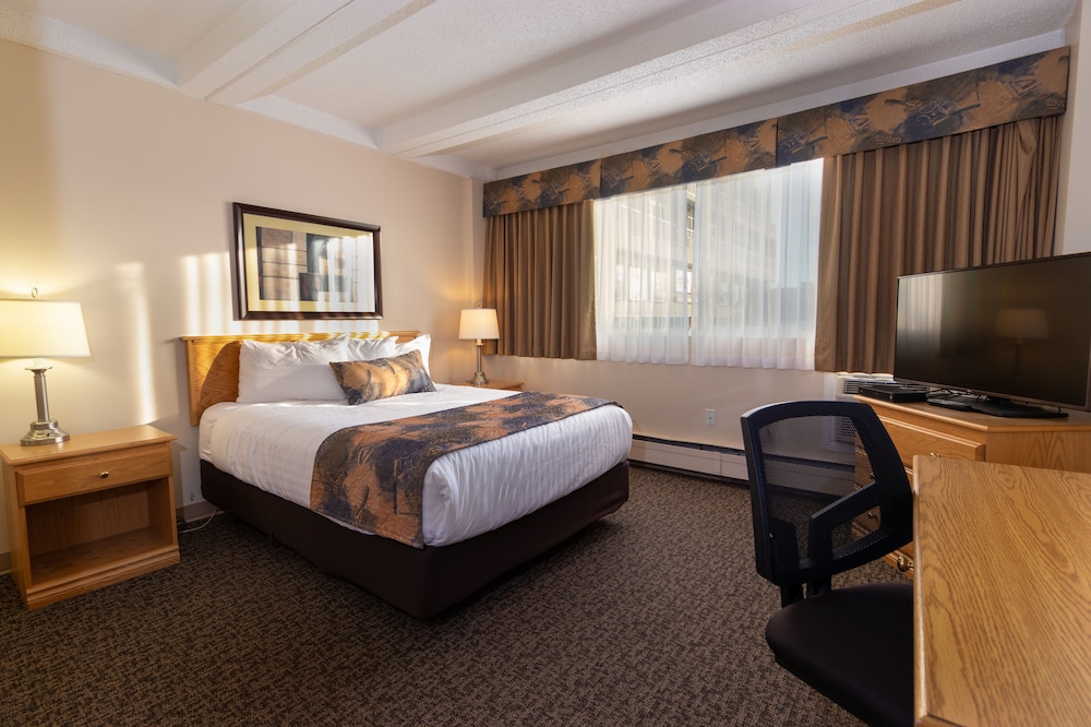 Room, 1 Queen Bed