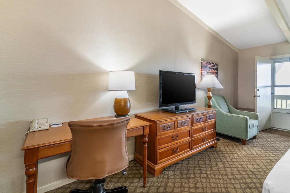 Room, Multiple Beds, Non Smoking photo 3
