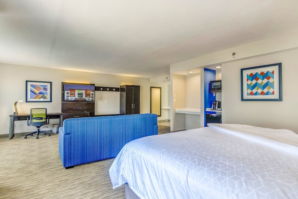Suite, 1 King Bed - Photo 1