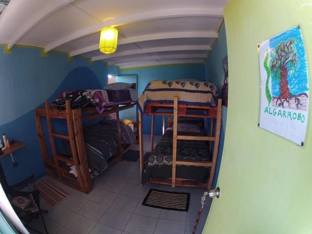 Shared Dormitory photo 2