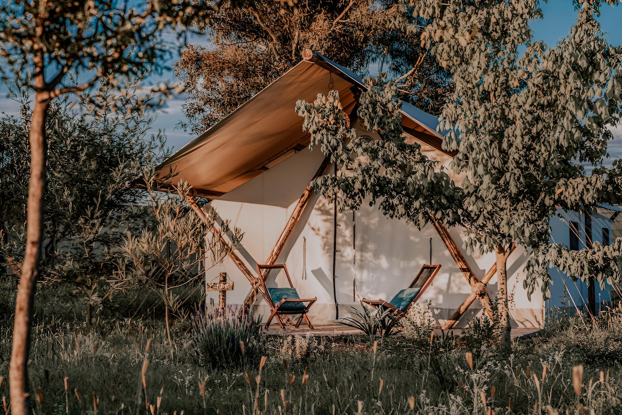 Luxury Tent photo 2