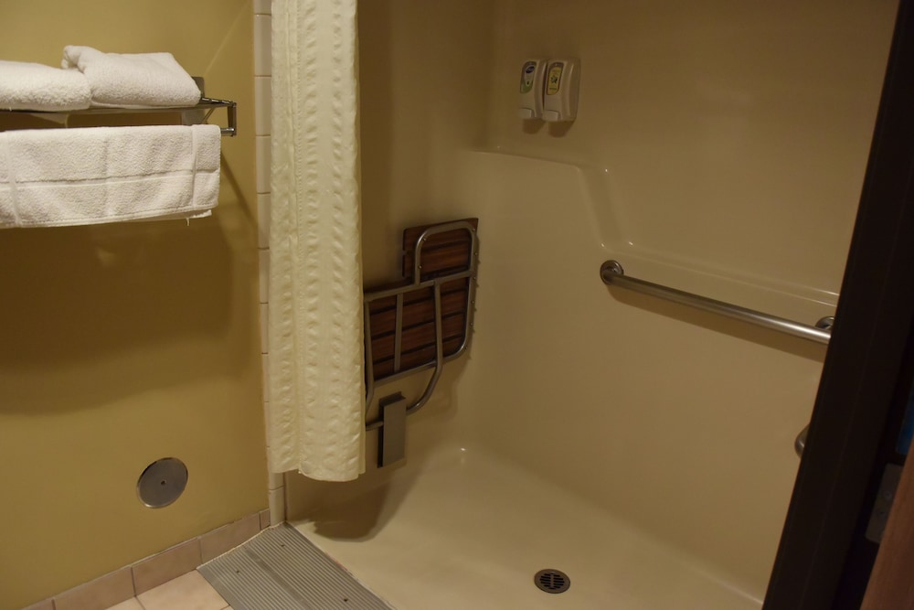 Standard Room, 1 King Bed, Accessible, Bathtub photo 1