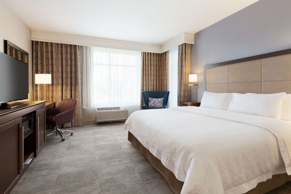 Room, 1 King Bed, Accessible (Mobility & Hearing, Roll-In Shower)