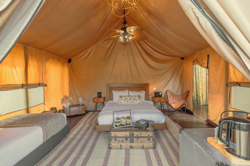 Safari Lux 2 - Photo 17