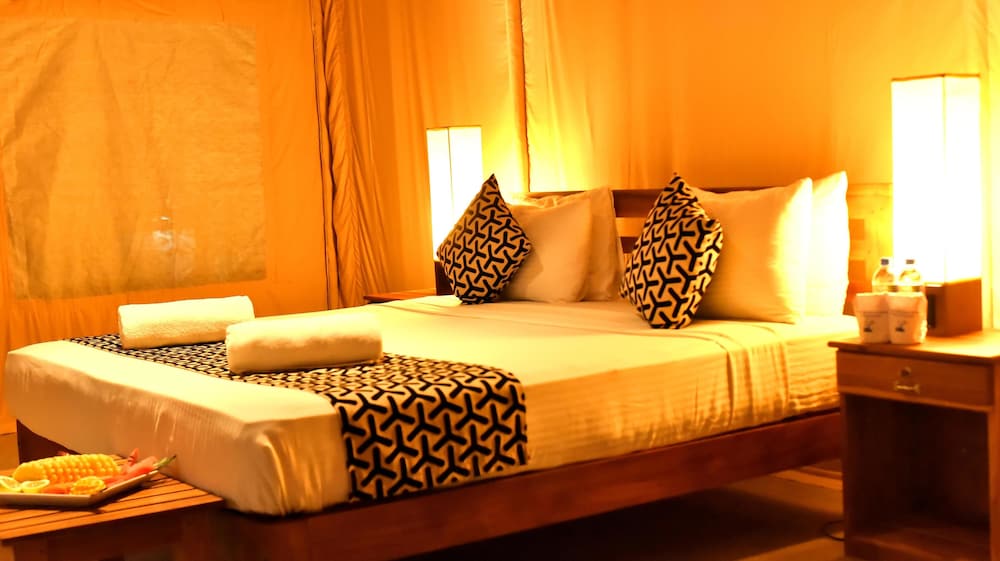 Luxury Tent With Wild Safari