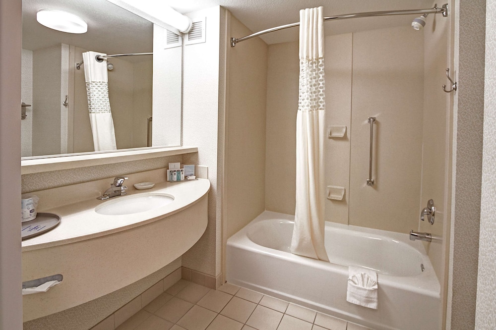 Suite, 1 King Bed, Non Smoking - Photo 5