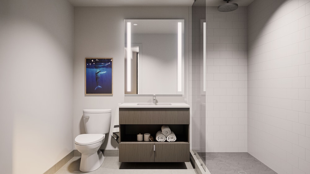 Studio Suite - Photo 2