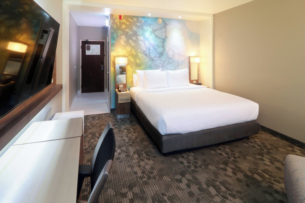 Room, 1 King Bed photo 1