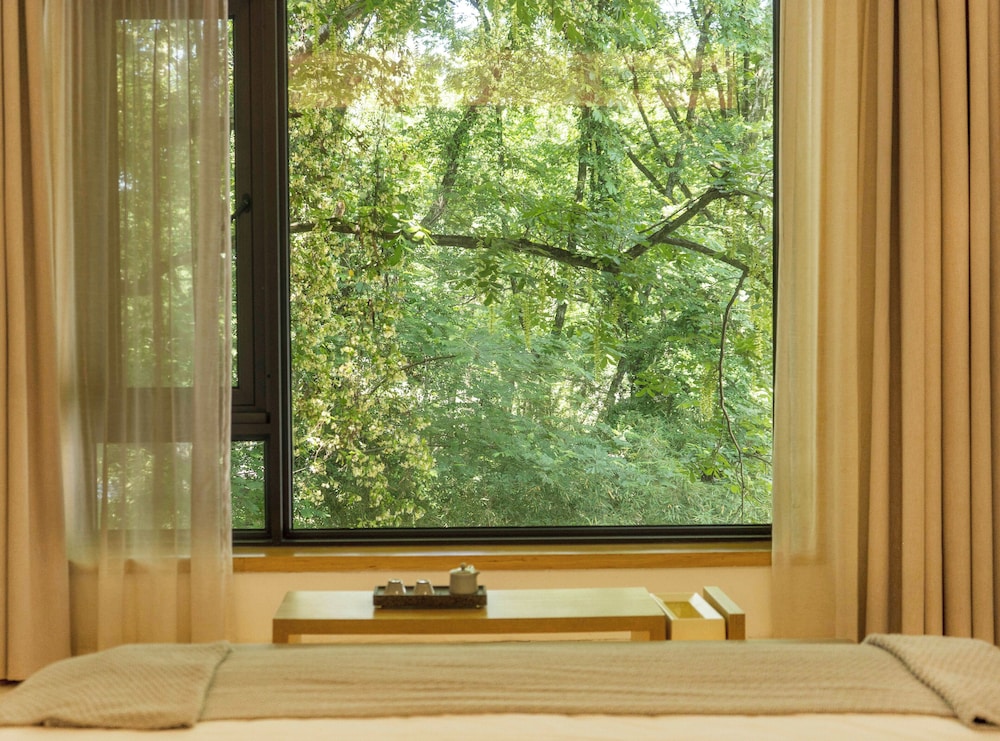 Deluxe Double Room, River View photo 2