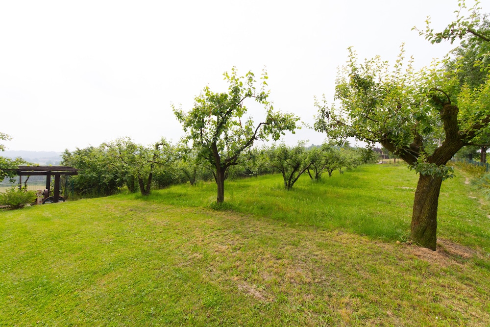 B&B Naturin - Cascina Colombaro, Photo 3