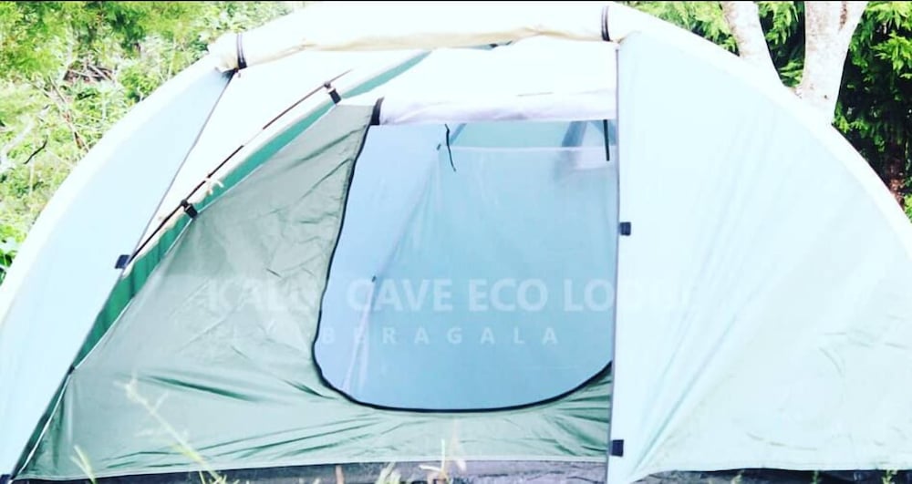 Basic Tent photo 1