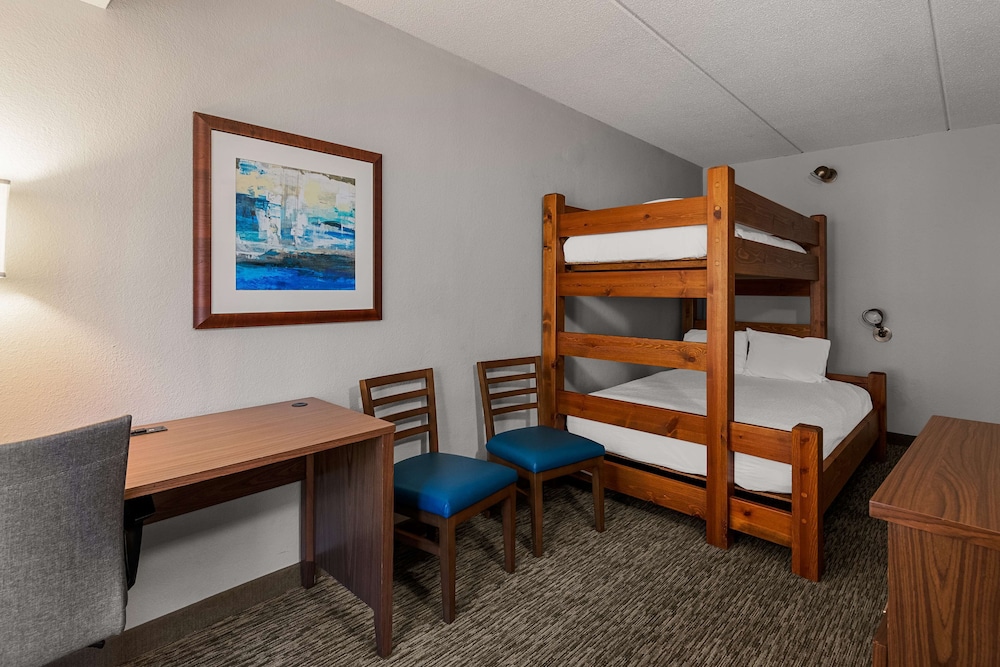 Standard Room, Multiple Beds, Accessible, Refrigerator & Microwave (with Sofabed) photo 3