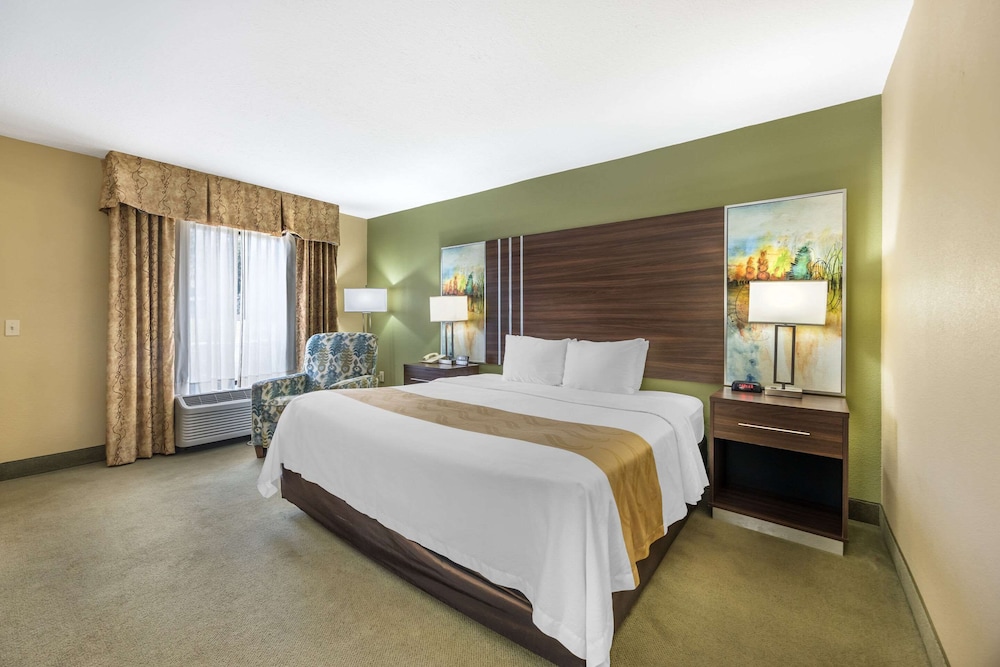 Room, 1 King Bed, Accessible, Non Smoking - Photo 4