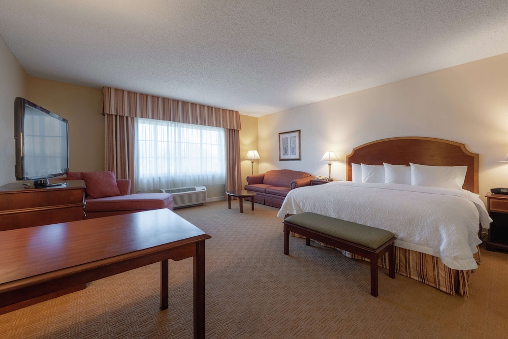 Suite, 1 King Bed, Non Smoking photo 1
