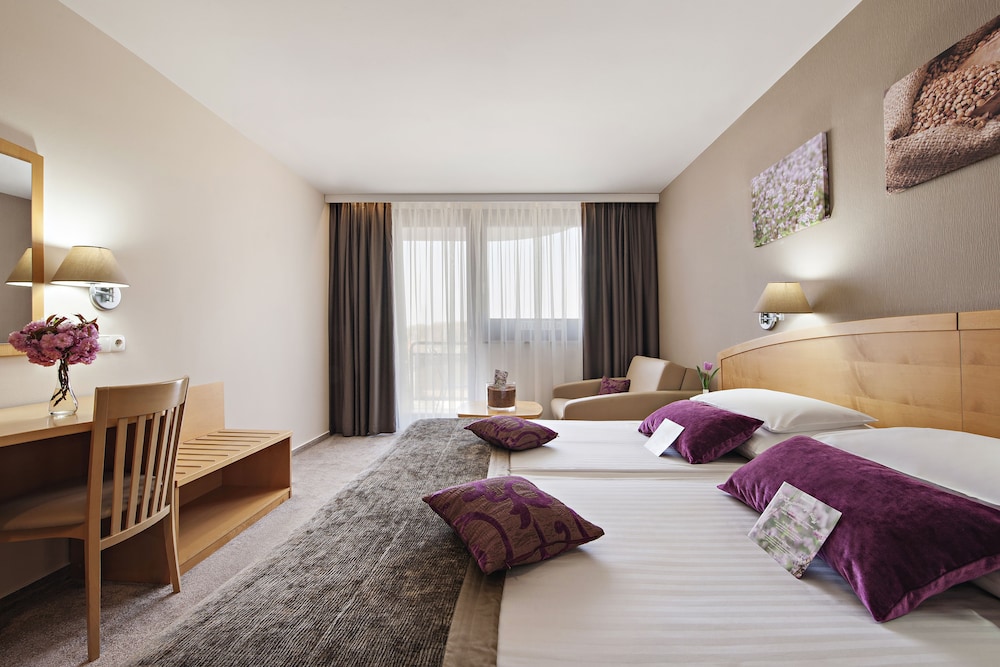 Standard Double Room, Balcony