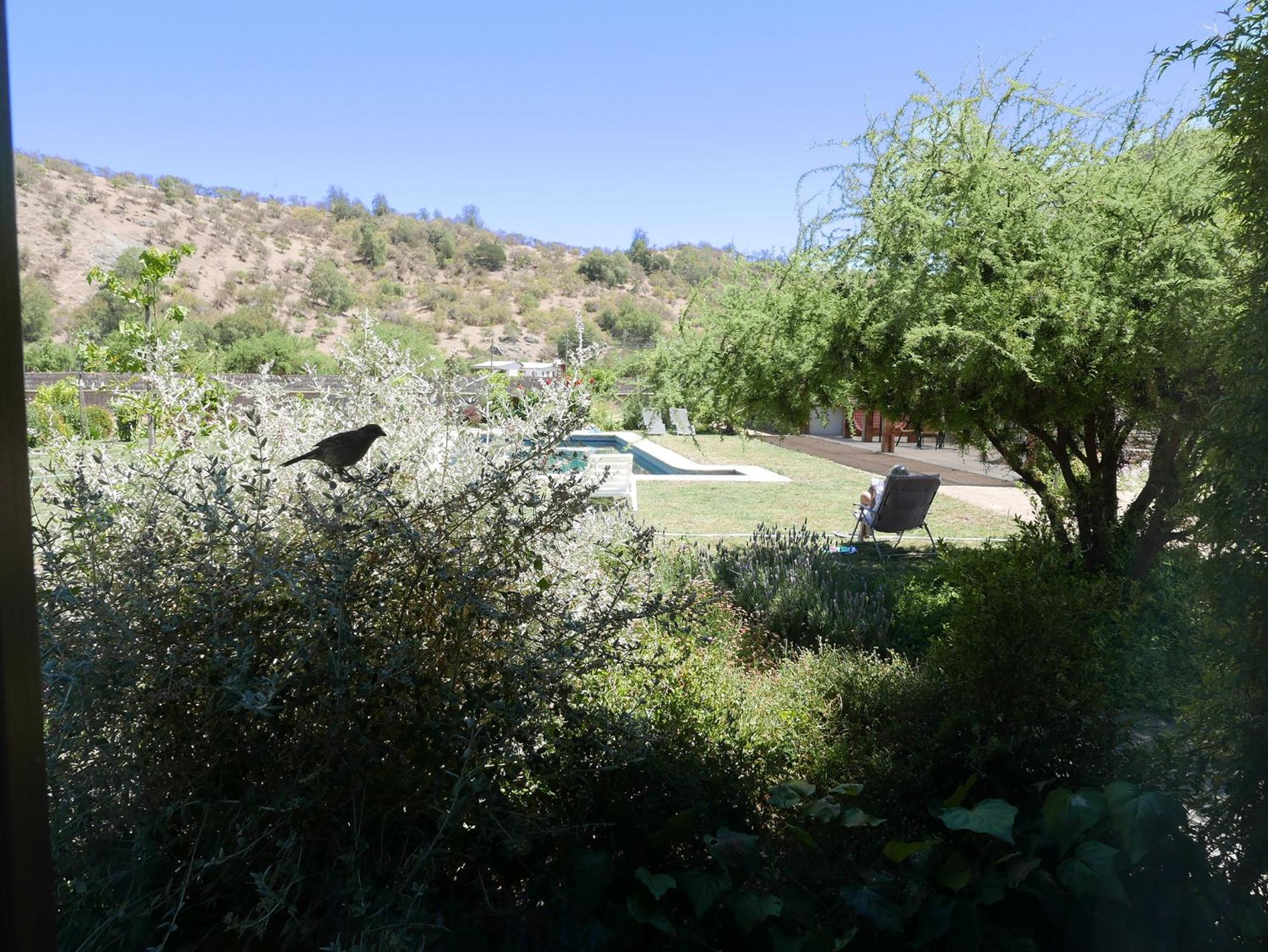 Double Room with Pool View photo 1