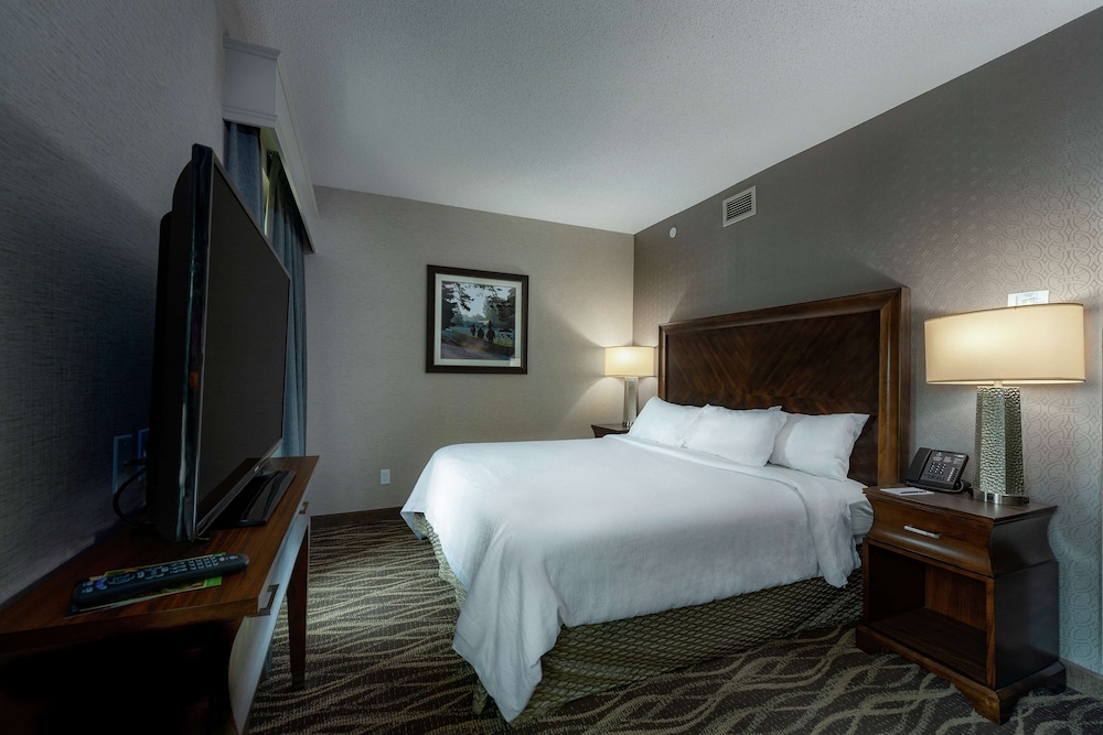 Suite, 1 King Bed, Accessible photo 3