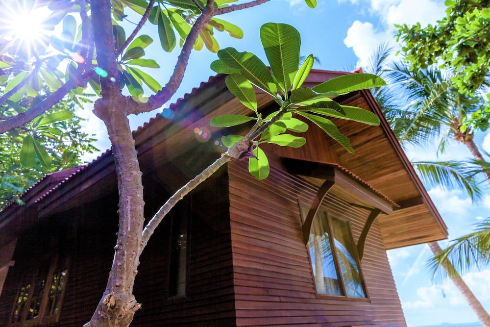 Bungalow Seaside photo 3
