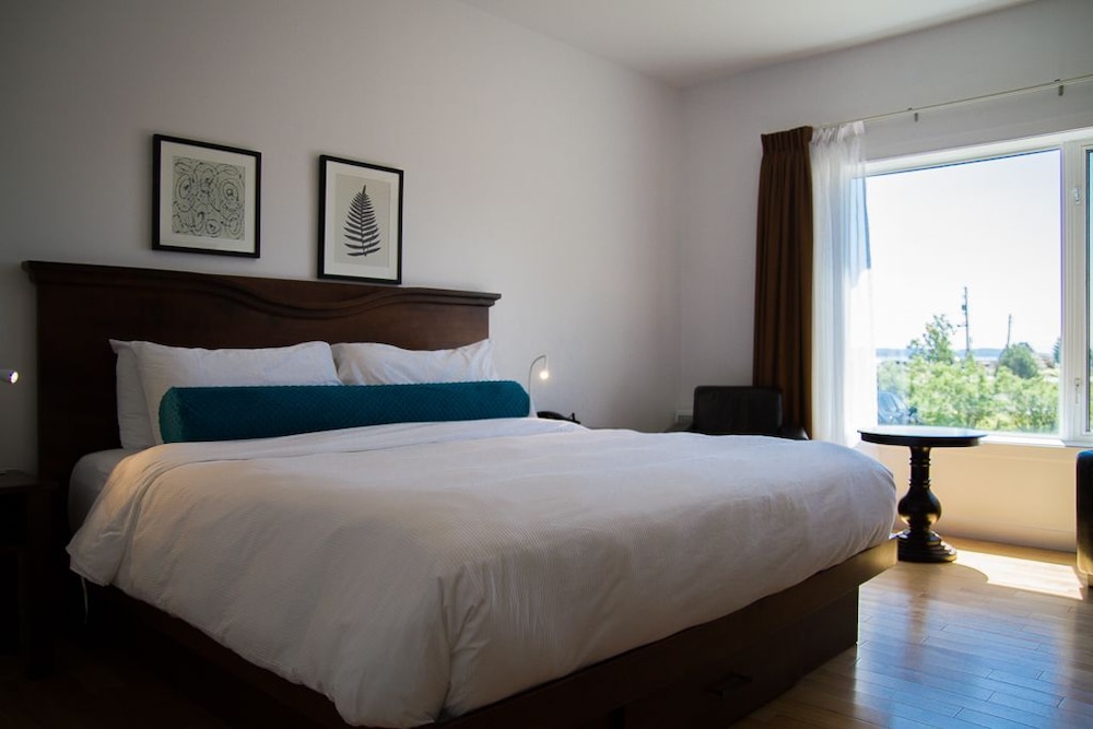 Superior Room, 1 King Bed photo 1