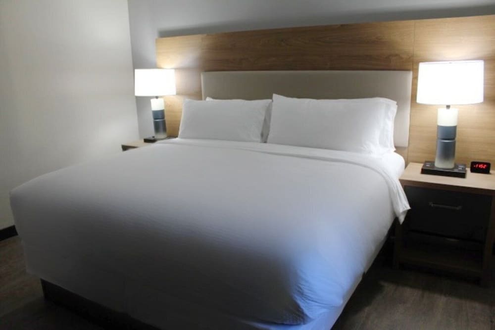Studio Suite, 1 King Bed with Sofa bed - Photo 22