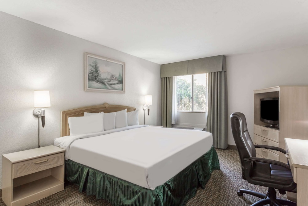 Suite, 1 King Bed photo 1