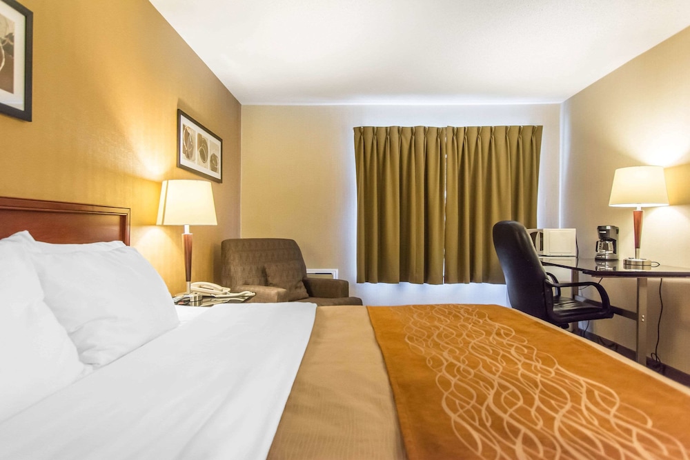 Standard Room, 1 King Bed, Non Smoking (Second Floor) - Photo 3