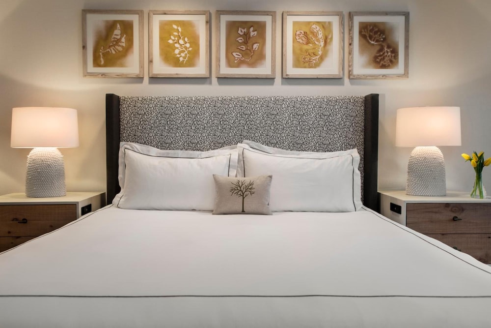 Club Room, 1 King Bed (Glover) - Photo 4