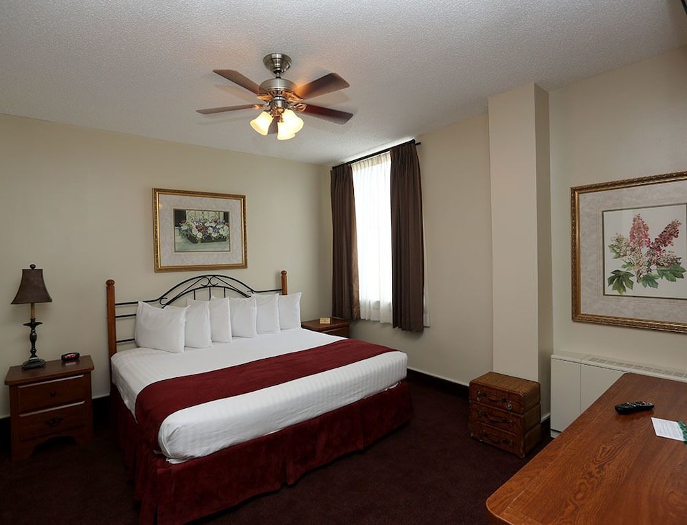 Standard Suite, 1 King Bed, Kitchen