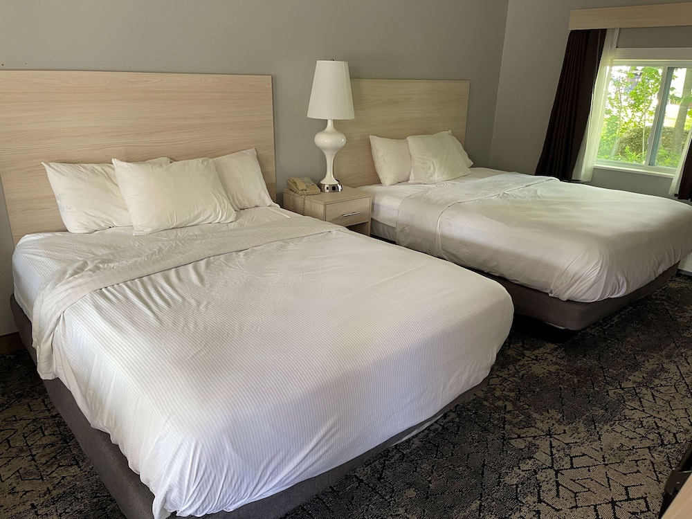 Suite, Multiple Beds, Non Smoking (not pet friendly) - Photo 2