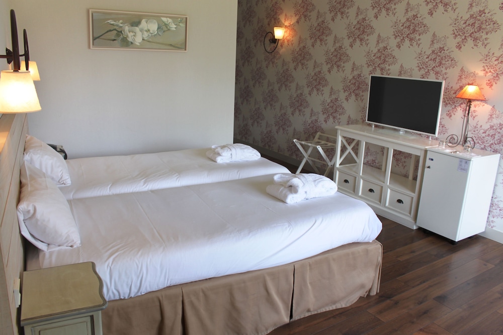 Superior Double or Twin Room photo 3