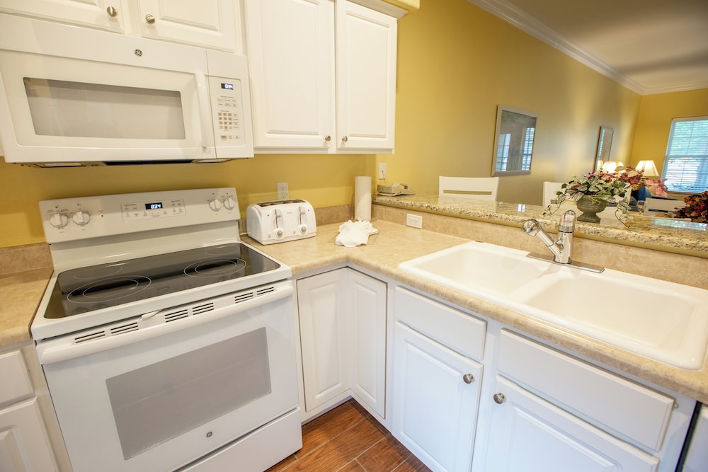 Deluxe Condo, 1 Bedroom, Kitchen photo 2