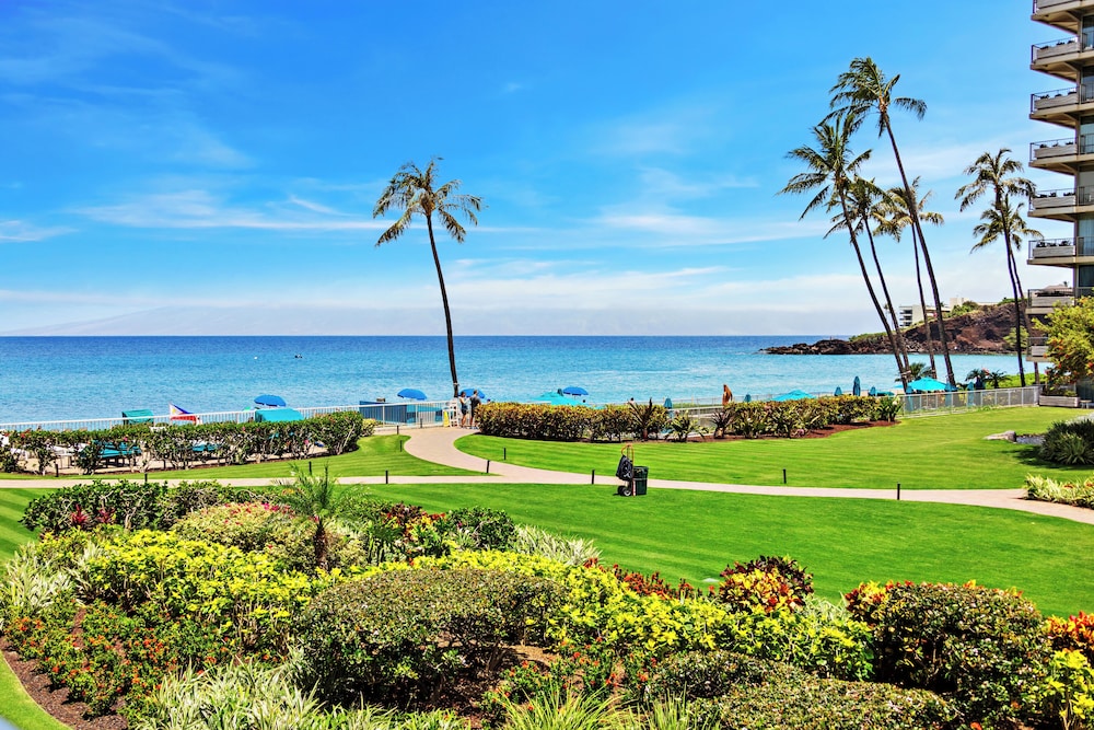 Premium Studio, Ocean View - Photo 5