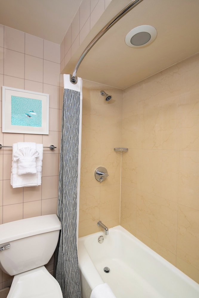 Premium Room, 1 King Bed, Refrigerator & Microwave, Park View - Photo 5