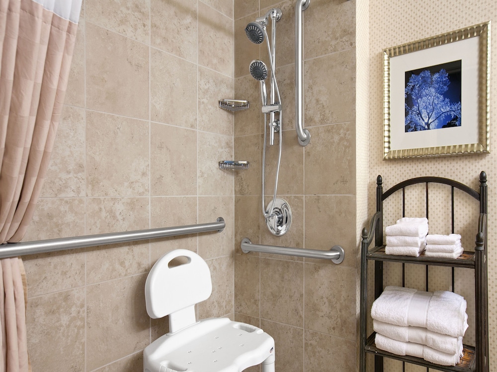 Suite, 1 King Bed, Allergy Friendly - Photo 4