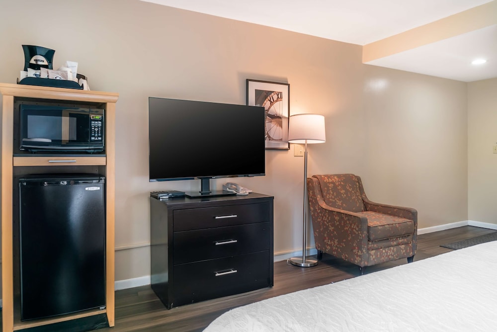 Standard Room, 1 King Bed, Non Smoking, Refrigerator (Interior room access) photo 2
