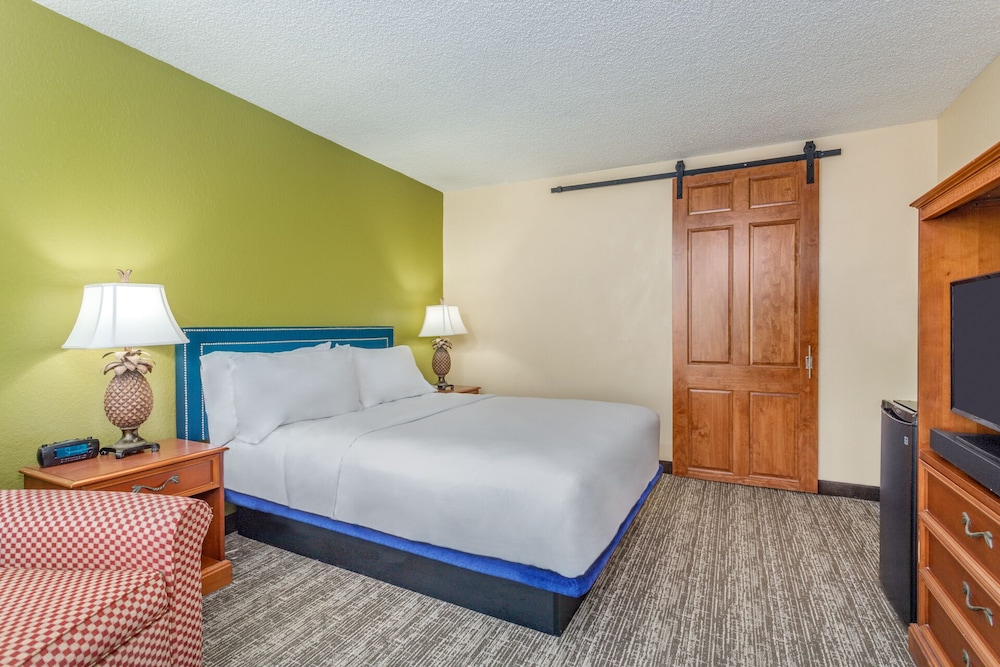 Standard Room, 1 Queen Bed, Accessible, City View - Photo 1